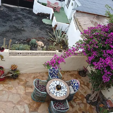 Casita De Gato Tahiche