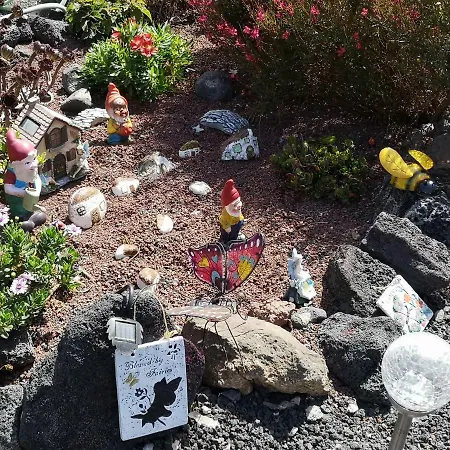 Casita De Gato * Tahiche