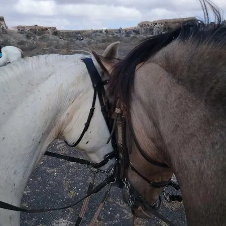 Casita De Gato * Tahiche