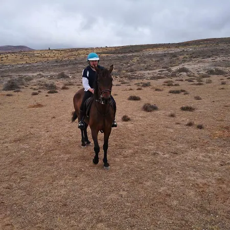 Casita De Gato Tahiche