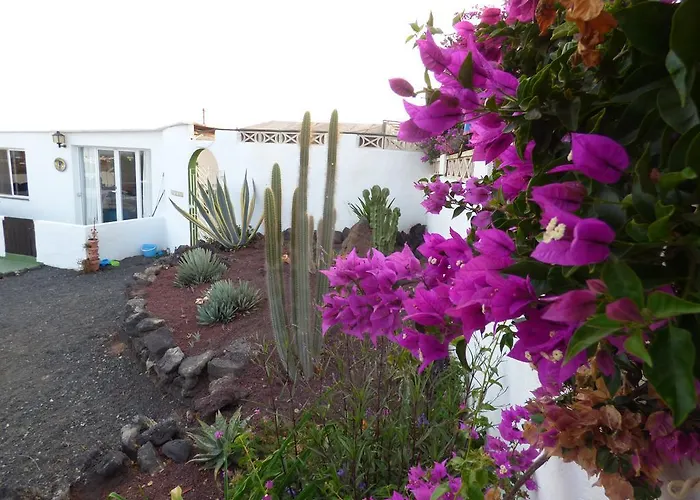 Casita De Gato بيت للعطل *