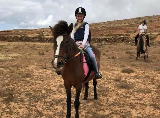 Casita De Gato بيت للعطل