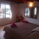 Casita De Gato
