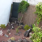度假居 Casita De Gato *