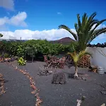 Casita De Gato * Tahiche