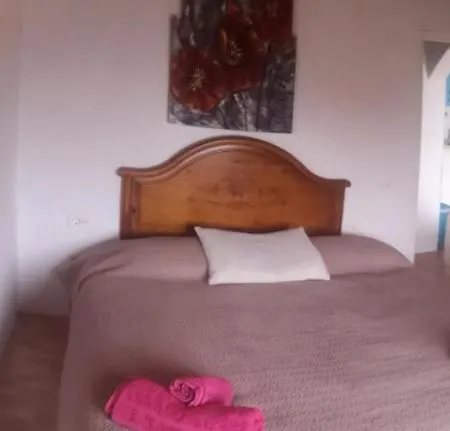 Casita De Gato