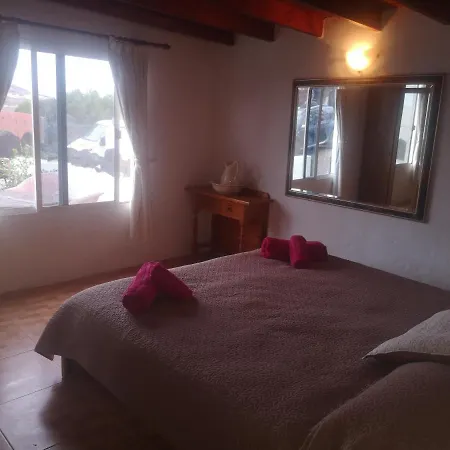 Casita De Gato