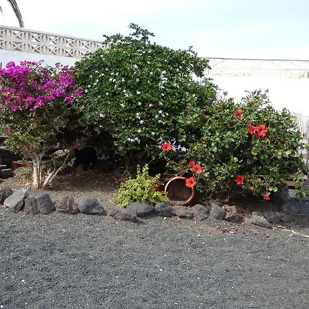 Casita De Gato Vakantiehuis
