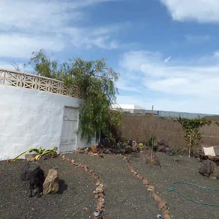 Casita De Gato Tatil Evi *