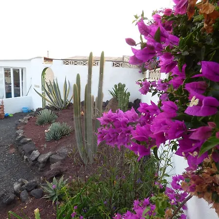 Casita De Gato Tatil Evi *