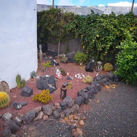 Casita De Gato