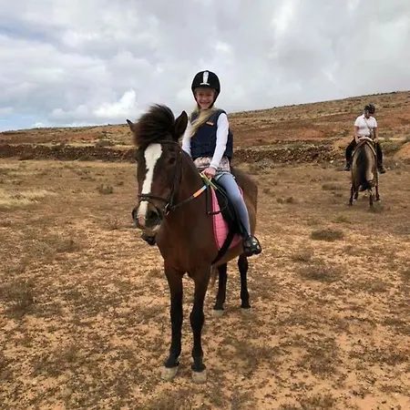 Casita De Gato Tatil Evi