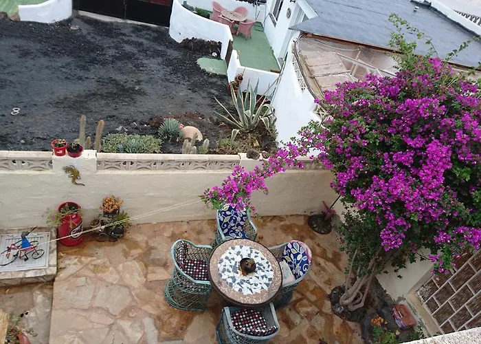 Casita De Gato Tahiche