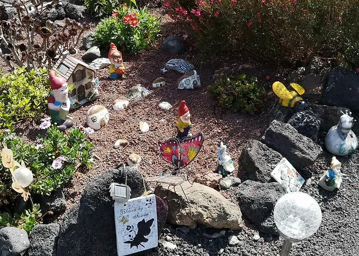 Casita De Gato * Tahiche