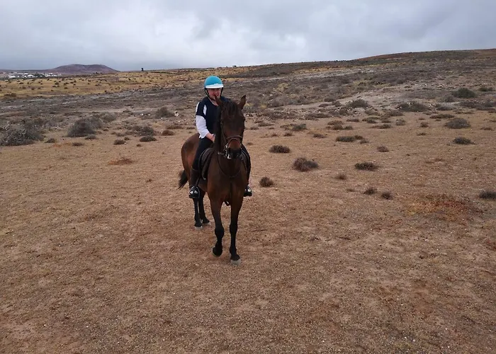 Casita De Gato Tahiche