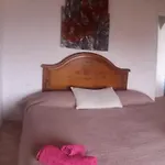 Casita De Gato